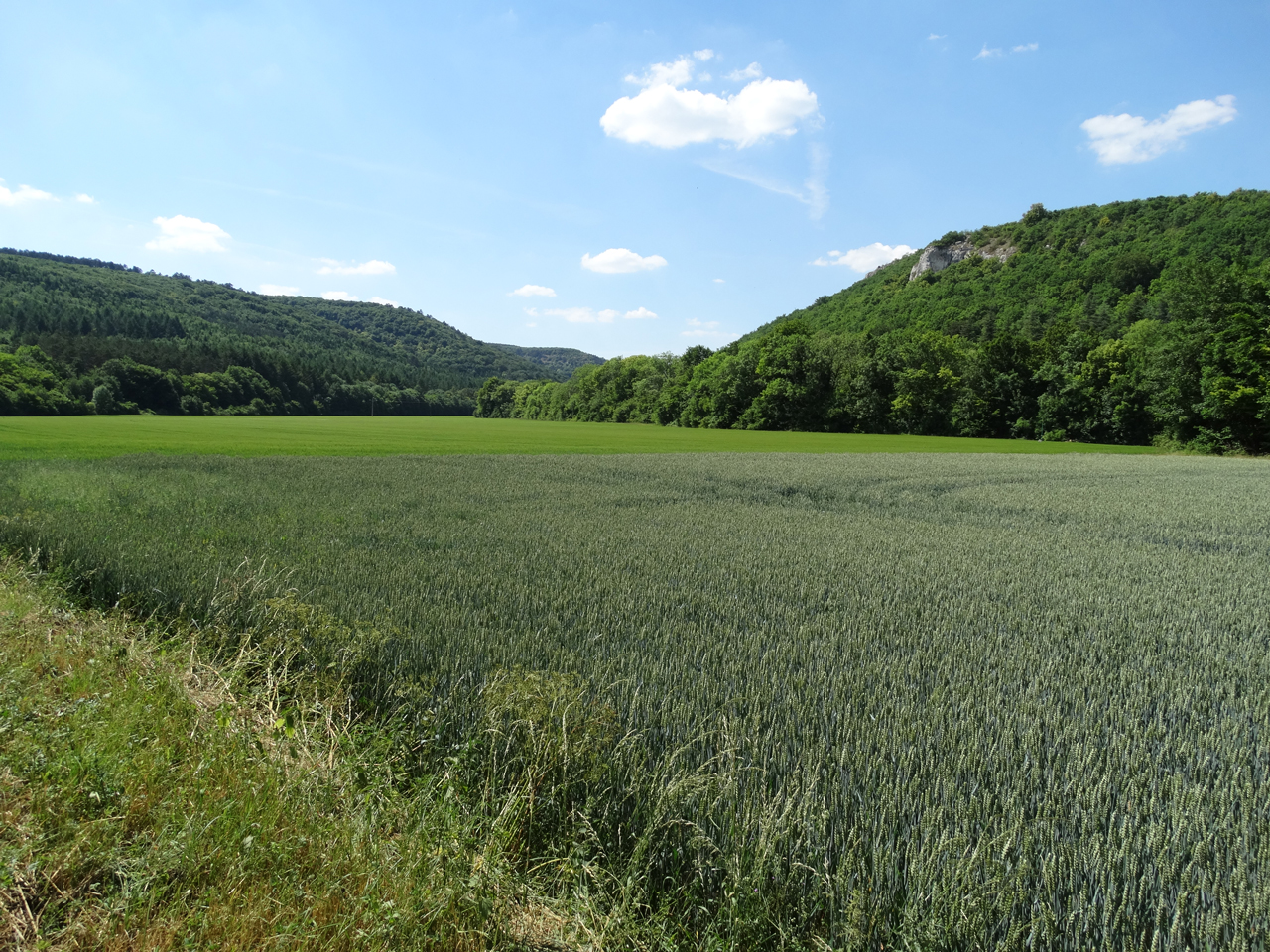 Entrée_Val_Suzon_par_Messigny_H_P_Savier